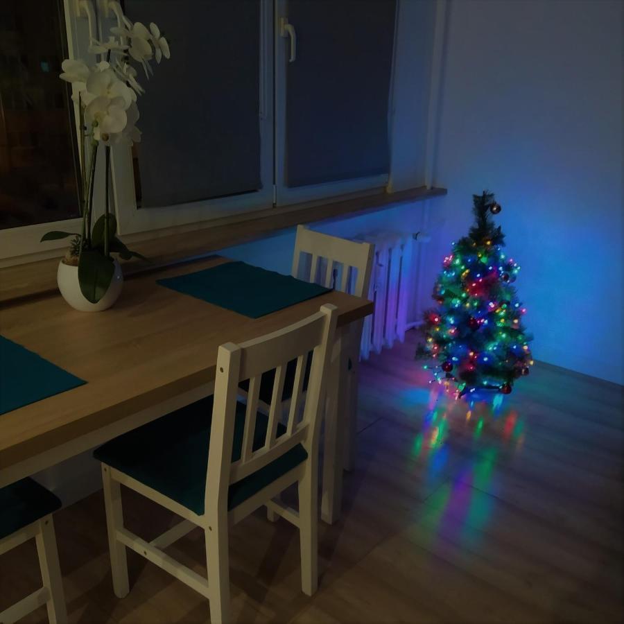 Apartament Torun Dreams 外观 照片